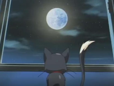 Thumbnail of post image 159